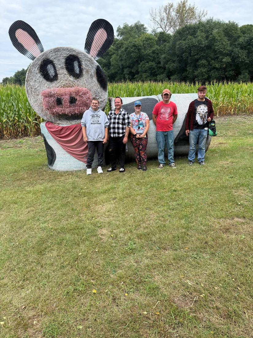 Corn maze, second year